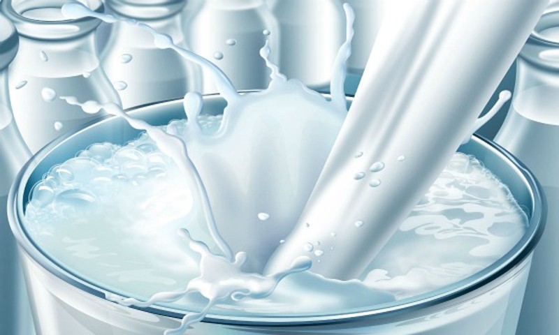  ‘भैँसी सुत्केरी भत्ता’ले दूध उत्पादन दोब्बर
